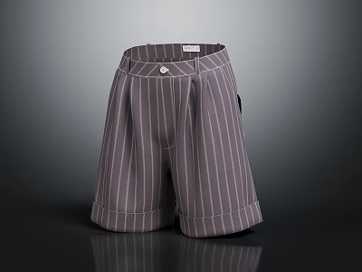 Stylish Striped Gray Casual Shorts For Trendy Everyday Fashion Look 3d model