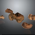 Orange Textured Ear Shaped Fungi Display On Dark Background With Reflections