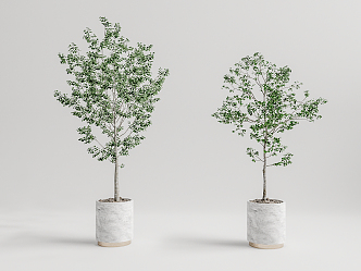 Modern potted plant potted landscape tree 3d model