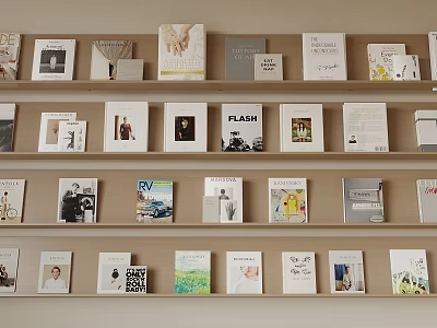 Neatly Arranged Books and Magazines On Wooden Shelves With Diverse Covers 3d model