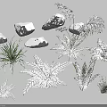 Garden Landscape With Snow Covered Stones And Various Types Of Fern Plants
