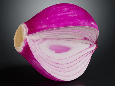 Fresh Sliced Purple Onion With Vibrant Purple Skin And White Layers 3d model