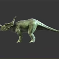 Detailed Green Triceratops Dinosaur Model With Horns On Black Background