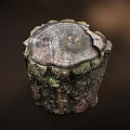 Close Up Of Tree Stump With Visible Annual Rings Green Moss And Textured Bark