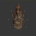 Realistic Detailed 3D Rendered Beetle With Brown Exoskeleton Compound Eyes And Legs