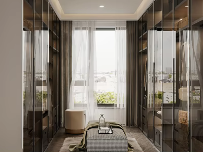 Modern Walk in Closet Interior Design with Glass Doors White Curtains and Natural Light 3d model