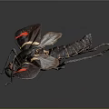 Black Insect with Red and Yellow Spots on Wings Macro View on Dark Background
