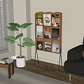 Wooden Bookshelf With Books And Magazines In Living Room With Green Plant And Sofa