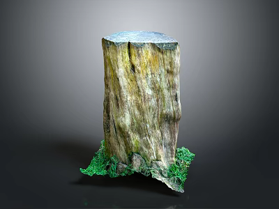 Rustic Wooden Stump Decorative Ornament With Natural Texture And Green Plants At Base 3d model