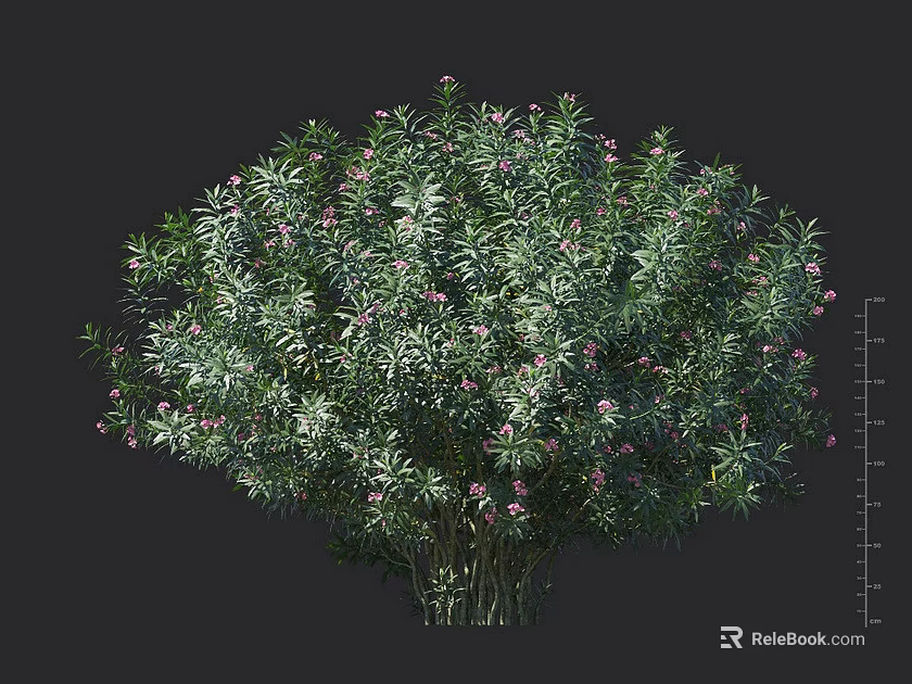 Lush Green Shrub with Pink Flowers and Dense Foliage in 3D Rendering 3d model 