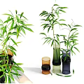 Decorative Colored Glass Vases With Green Bamboo Plants For Home Decor