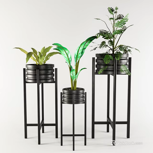 Lush Green Potted Plants On Black Metal Plant Stands For Home Decor 3d model 