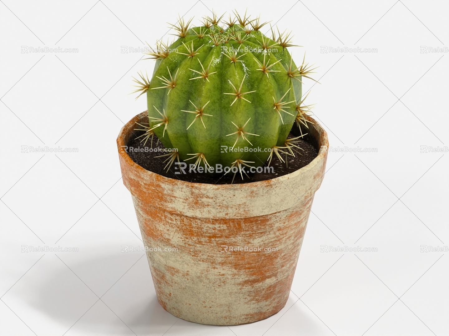 cactus ball bonsai cactus 3d model