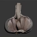 Fresh Garlic Bulb with Peeled Cloves and Pale Pink Skin on Dark Background