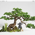 Indoor Landscape With Bonsai Pine Tree Stone Lantern Moss Small Stones And Ferns