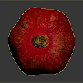 Whole Ripe Red Pomegranate With Shiny Surface On Gray Background
