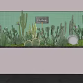 Varied Potted Cactus And Succulent Plants On Green Tiled Wall Display Shelf With Decorative Lighting