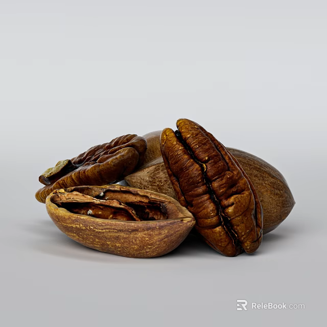 Pecans Featuring Whole And Shelled Nuts Displaying Inside Texture And Appearance 3d model 
