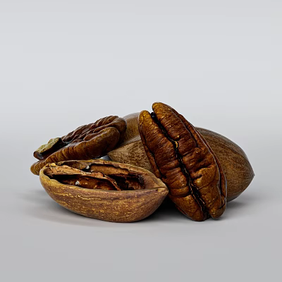 Pecans Featuring Whole And Shelled Nuts Displaying Inside Texture And Appearance 3d model