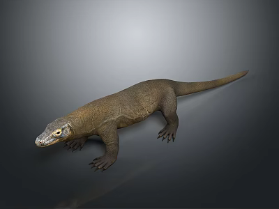 Komodo Dragon Standing On Neutral Background With Scaly Skin And Long Tail 3d model