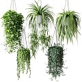 Modern hanging basket green plant hanging basket potted plant green plant ornaments hoisting 3d model