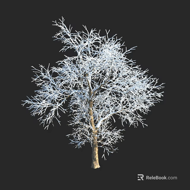 Realistic Leafless Tree With Snow Covered Branches Against Black Background 3d model