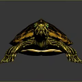 Turtle Cartoon Turtle Snapping Turtle Chickbill Turtle Reptile Cold Blooded Animal Reptile Class 3d model