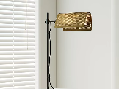 Modern Black Floor Lamp with Golden Mesh Shade Near White Window Blinds 3d model