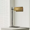 Modern Black Floor Lamp with Golden Mesh Shade Near White Window Blinds