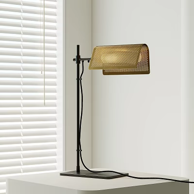 Modern Black Floor Lamp with Golden Mesh Shade Near White Window Blinds 3d model