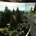 Scenic Hinged Door Opening To Winding Mountain Road With Pine Trees And Greenery