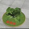 Fresh Green Vegetables Displayed On Round Green Tray For Category 3d model