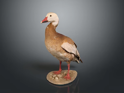 White Head Brown Body Stuffed Duck With Red Beak Red Feet And Stone Base 3d model