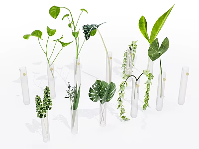 Transparent Glass Test Tube Vases with Various Green Plants Long Broad Leaves and Hanging Vines 3d model