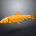 Vibrant Orange Fish 3D Rendering Isolated On Dark Background With Details 3d model