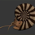Nautilus Marine Animal With Detailed Striped Spiral Shell And Intricate Tentacles
