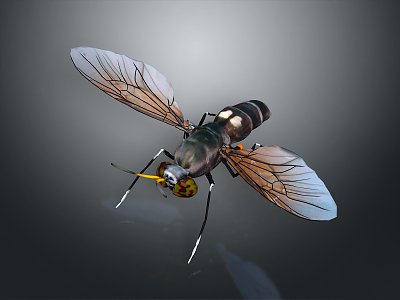 fly green head fly insect animal 3d model