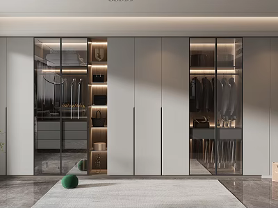 Modern Walk in Closet Interior With Glass Doors And Storage Cabinets 3d model