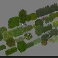 Various Types Of Decorative Shrubs With Different Shapes And Foliage For Garden Landscape Design