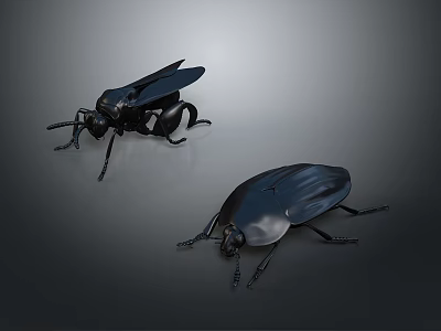 Two Black Insects Displayed with Distinct Body Shapes on Gray Background 3d model