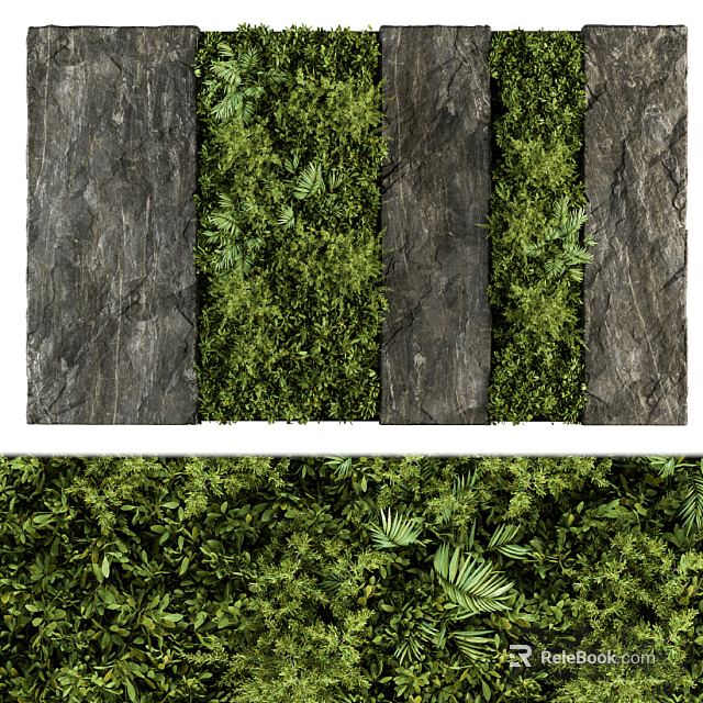 Indoor Green Wall Design With Diverse Plants And Dark Stone Slab Background 3d model 