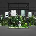 Life Artist Exhibition With Glass Display Cases Green Plants Sculptures And Paintings