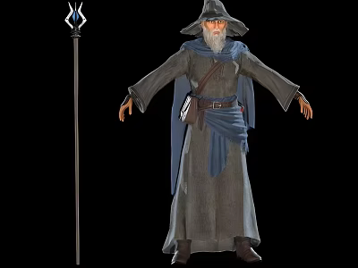 A Man Dressed As Wizard With Gray Robe Pointed Hat And Staff 3d model