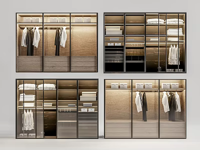 Modern Wardrobe Interior Design With Glass Doors Shelves And Hanging Storage 3d model