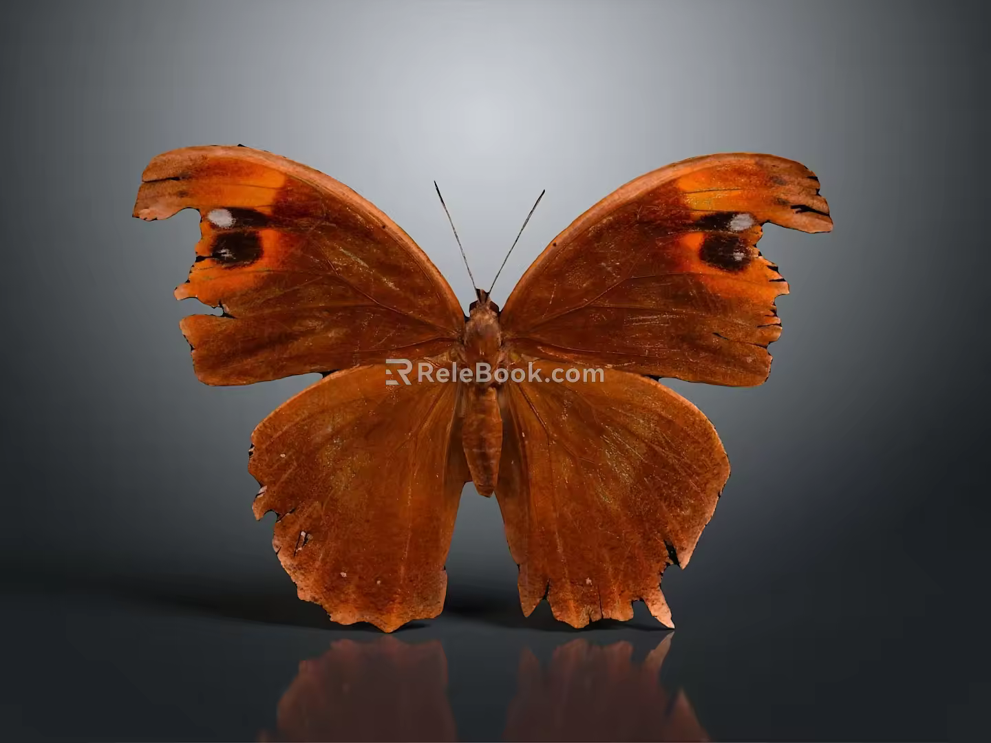 Modern Butterfly Colored Butterfly Tabby Butterfly Leaf Butterfly 3d model