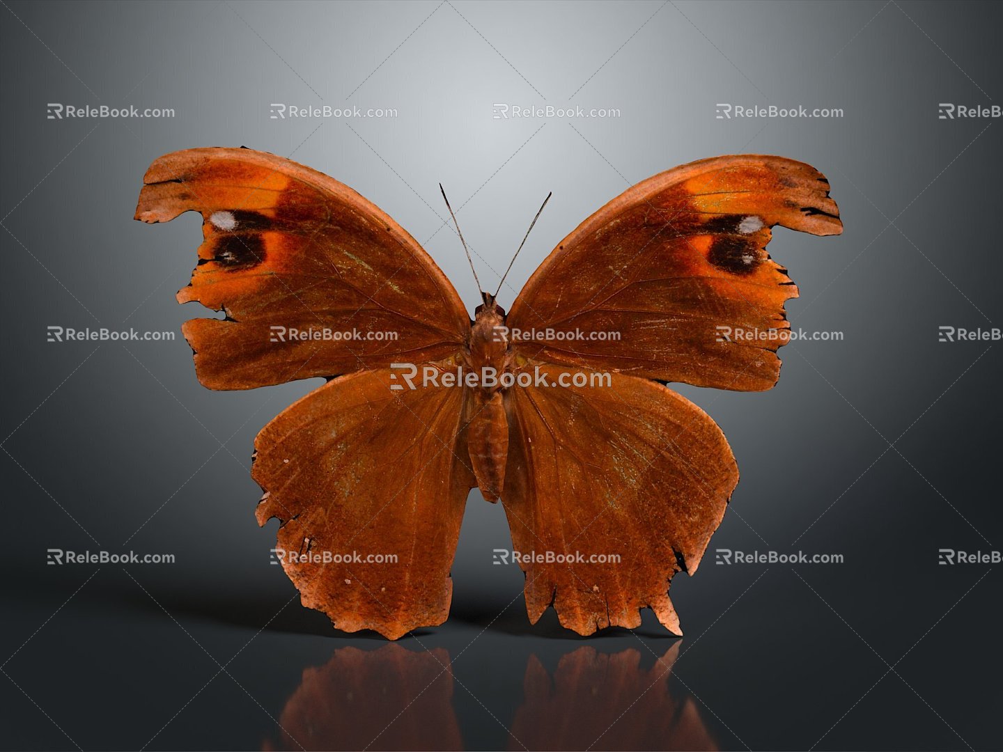 Modern Butterfly Colored Butterfly Tabby Butterfly Leaf Butterfly 3d model