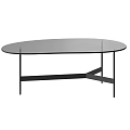 Modern Oval Coffee Table With Glass Top And Black Metal Frame