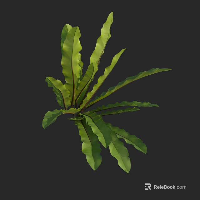 Lush Green Plant Leaves With Long Curved Shape And Visible Veins 3d model 