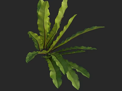 Lush Green Plant Leaves With Long Curved Shape And Visible Veins 3d model