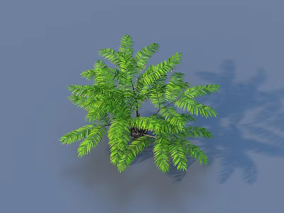 Lush Green Fern Plant with Feathery Leaves on Gray Background and Shadow 3d model